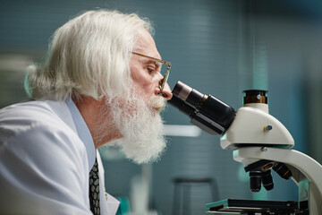 Senior Caucasian man with long grey hair and beard examining sample using microscope in scientific...