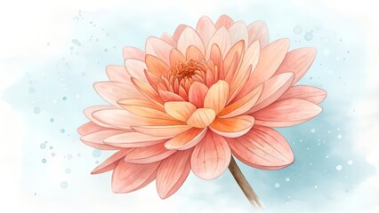 Fototapeta premium sweet watercolor coral flower