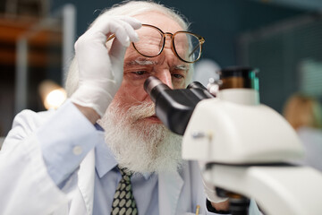 Senior Caucasian man with beard examining sample using laboratory microscope, wearing gloves and...