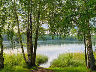 Fototapete bei efototapeten.de bestellen   