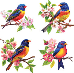 Vibrant Painted Bunting Bird On Branch Spring Flowers vector style on white background