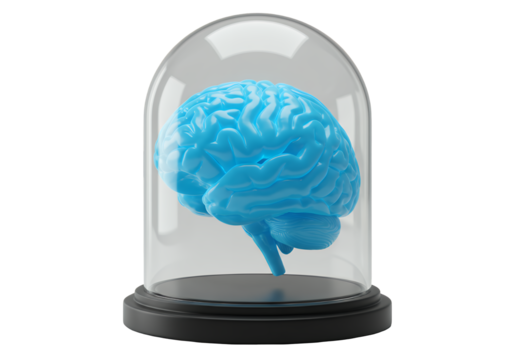 Vibrant Blue Brain Inside Glass Dome on Transparent Background 3D Render For Medical Education