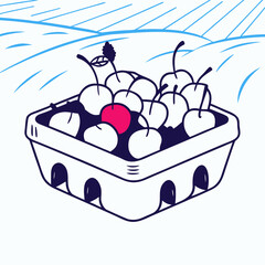 Fresh Cherries in a Carton, Farm Fresh Fruit Basket