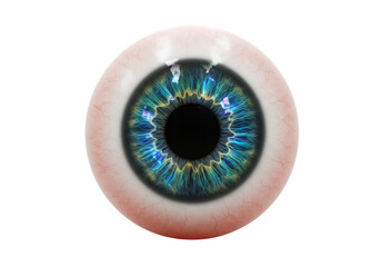 Detailed Blue Iris of a Human Eye on Transparent Background for Medical Illustration