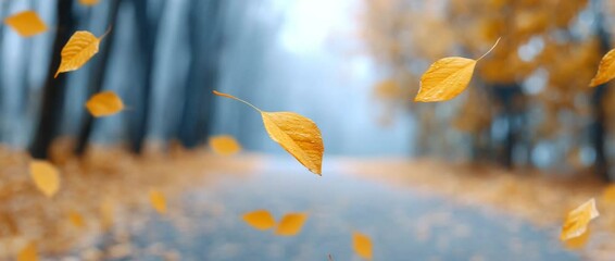Whispering Winds of Autumn: Capturing the serene dance of fallen leaves along a tranquil path, enveloped in a soft, misty embrace, this image invites viewers into a realm of peaceful contemplation.