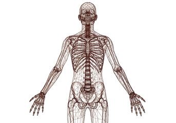 Pixelated Human Skeleton Illustration in Brown and White Colors on Transparent Background for Medical and Educational Purposes