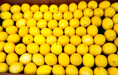 たくさん並べたレモン
