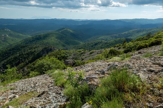View at Dadia Forest in northeastern Greece.