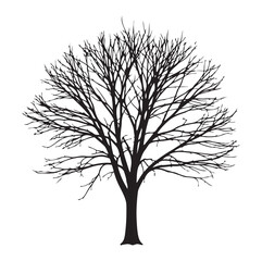 Obraz premium Winter Tree with Bare Branches – Vector Ink Silhouette. AI generator