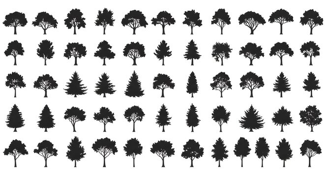 A&uacute;n m&aacute;s mejor colecci&oacute;n de &aacute;rboles, 200 vectores de &aacute;rboles detallados y diferentes
