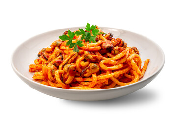 Handmade large spaghetti pasta with tomato sauce and mussels with parsley leaves in white plate isolated