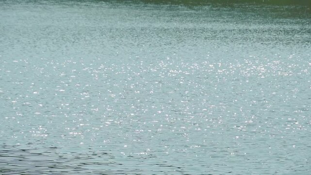 風でさざなみが立ったキラキラ光る水面の背景用素材。手前にピント