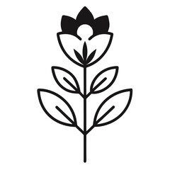 heath flower isolated on white background, abstract floral background