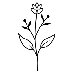 black and white flower