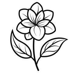 vector black and white flower