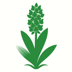 green plant isolated on white