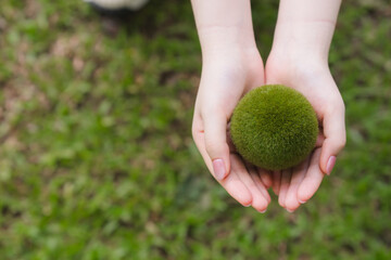 Green Moss Ball Held in Hands