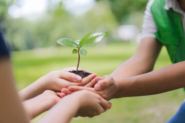 Children Holding Seedling in Hands