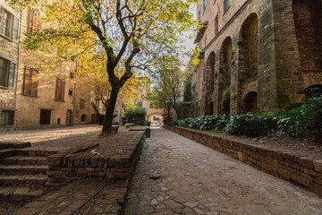 Quiet street with tree in Bergamo Alta, Italy