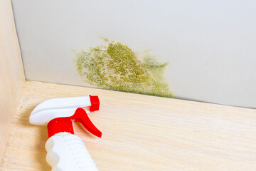 Sanitizer lie near green mold fungus growing in wardrobe. Anti-mold spray. Dampness problem concept...