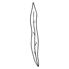 Minimalist black line drawing leaf, concept of nature.