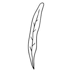 Minimalist black line drawing leaf, concept of nature.
