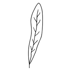 Minimalist black line drawing leaf, concept of nature.