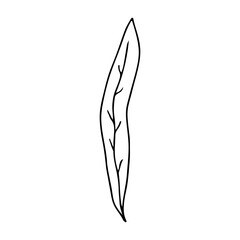 Minimalist black line drawing leaf, concept of nature.
