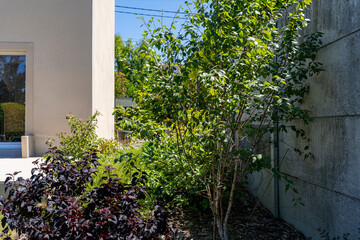 Jardin paysager aménagé par une entreprise spécialisée, avec pelouse, massifs fleuris, arbustes...