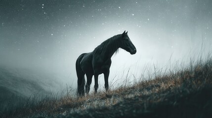 A solitary black horse stands on a grassy hill under a misty, star-speckled sky, evoking a calm and mysterious atmosphere.