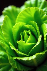 Fototapeta premium Freshly Harvested Green Lettuce Vibrant, Dew-Kissed Leaves Perfect for Healthy Salads and Recipes