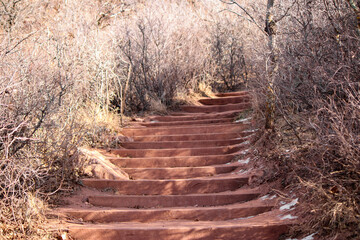 Stairway Surrounded by Bare Trees in a Woodland Trail at Garden of the Gods in Colorado Springs,...
