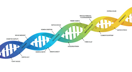 Colorful dna helix diagram vector illustration with labels for educational use
