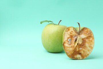 Spoiled apple and good ones on turquoise background