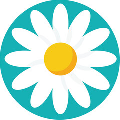 Fototapeta premium Daisy flower icon with white petals and yellow center on turquoise background simple nature symbol
