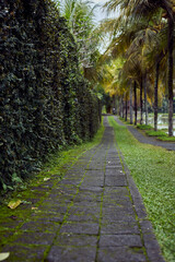 alley in the park