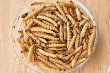 Pupae in bamboo fried crispy insect protein food, appetizer or snack local Thai food, Bamboo Caterpillar is food in street food at northern of thailand.