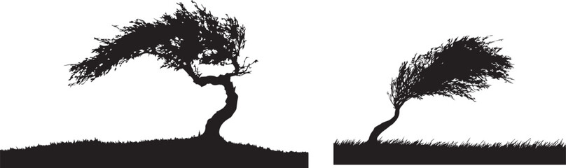 Fototapeta premium Silhouette of a palm tree vector illustration showing nature and floral design elements.