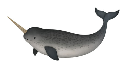 watercolor narwhal isolated on transparent background, extracted, png file
