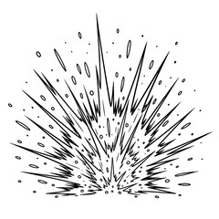 Blooming Firework Petals Line Art &mdash; Minimalist Burst on White Background