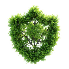 Blooming Firework Petals Line Art &mdash; Minimalist Burst on White Background