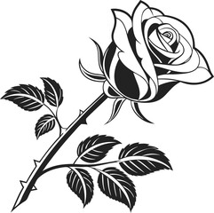 A striking, detailed black and white illustration of a rose.