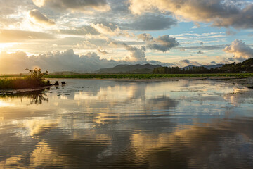 Sunrise Scenery of Junam Reservoir in Changwon, Korea