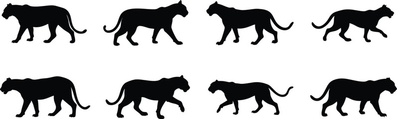 Panther Walk Cycle Silhouette Vector Illustration Set. Big Cat Silhouette Walking Cycle Animation Frames Set. 