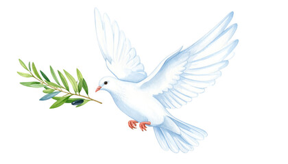 Obraz premium A white dove carrying an olive branch.