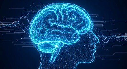 Human Brain Neural Networks, Cognitive Functions, and Artificial Intelligence