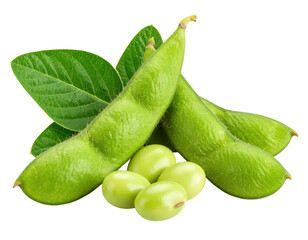 Fresh green soybeans with pods and leaves, showcasing smooth, oval seeds and textured pod surfaces.