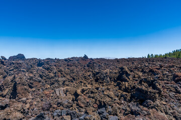 Rund um den Vulkan Chinyero