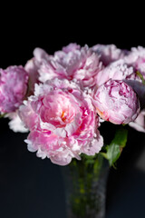Beautiful peonies in a glass vase in bright sunlight.