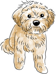 Full Color Animals Cat Dog Sketch Pack